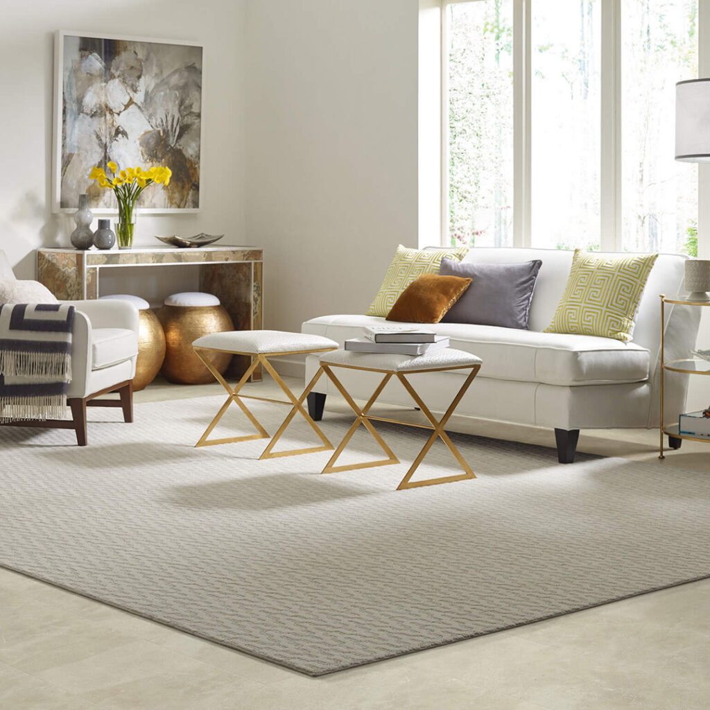 Area Rug | Birons Flooring Inc.
