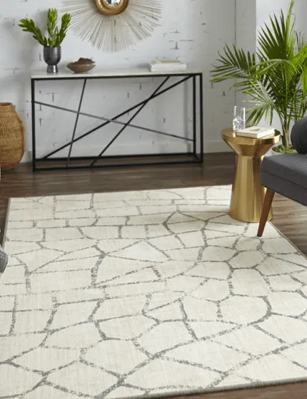 Area rug | Birons Flooring Inc